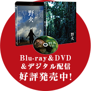 5.12(木)Blu-ray＆DVD Release!